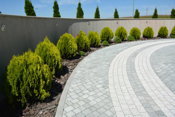 Best Concrete Paver Driveway  in Dalhart, TX